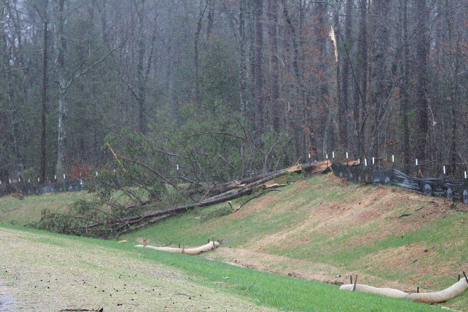 Tornado damage